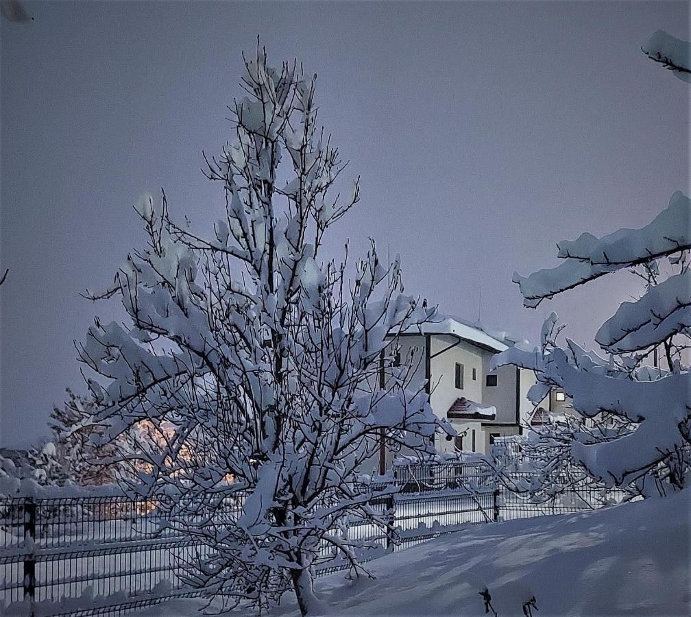 Pinerose Resort Bansko Exterior foto